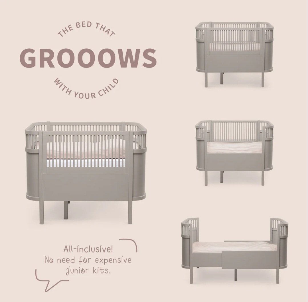 Screenshot_20260119_164943_Chrome